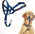 Halti Headcollar - Stop Your Dog Pulling on The Leash. Adjustable, Reflective and Lightweight, with Padded Nose Band. Dog Training Anti-Pull Collar for Medium Dogs (Size 3, Cobalt Blue)