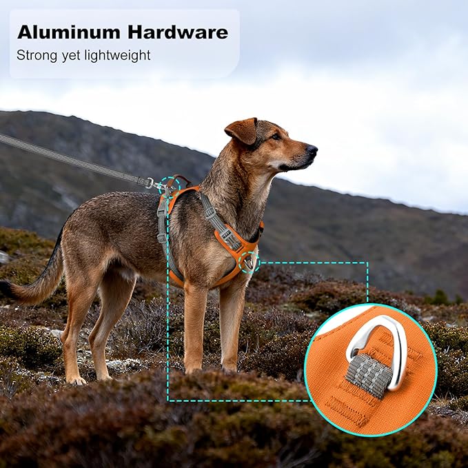 No Pull Dog Harness – Adjustable Reflective Nylon Vest for Small Medium Large Dogs, Escape Proof Training Harness with Leather Control Handle, Lightweight Aluminum Hardware (Orange, XL)