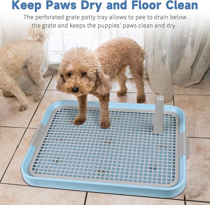 CUHIOY Dog Potty Tray Toilet 20"x14" - Indoor Pee Pad Holder with 8pcs Training Pads, Puppy Mesh Potty with Secure Latch for Small Medium Puppies - Blue