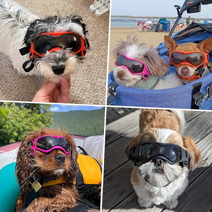Small Breed Dog Goggles, Sunglasses with UV Protection, Adjustable Straps - Orange
