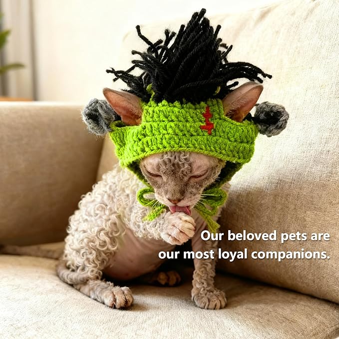 Cute Cat Hat Suitable for 5-16 lbs - Kitten Outfits Head Circumference 11" or Less cat Costumes for Cats only