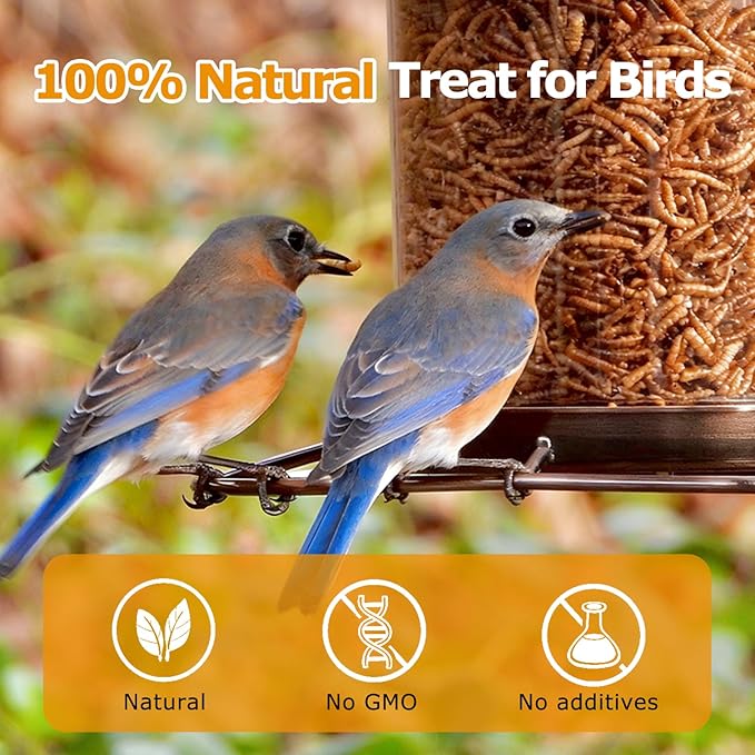 2LB Dried Mealworms, Non-GMO Meal Worms for Chickens & Birds, High Protein Chicken Feed, Natural Chicken Worms Ideal for Wild Birds, Reptile Tasty Bird Food
