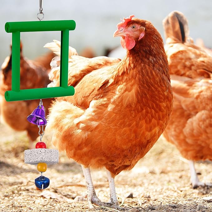 Sumind 2 Pieces Chicken Mirror Toys Hanging Swing Mirror with Bell Wooden Pecking Toy and 4 Pieces Beak Grinding Molar Stones for Hens Birds Parrots (Red,Green)