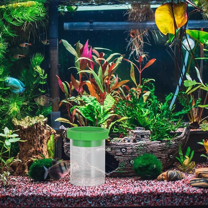 Fish Breeding Box Floating Incubator with Divider and Egg Net, Small Green Aquarium Hatchery Isolation System for Guppy Fry and Small Fish Tanks