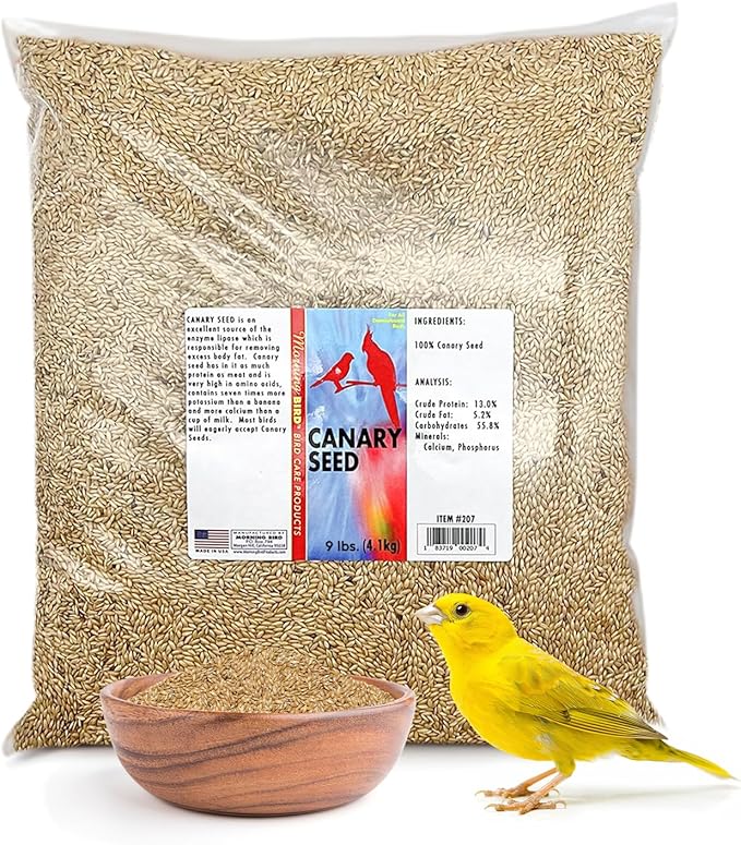 Morning Bird Canary Seed 9 lbs, Nutrient-Rich Bird Seed, Creamy Golden Grain Powerhouse - Supports Healthy Feathers & Strong Bones – Natural Daily Nutrition for All Bird Types