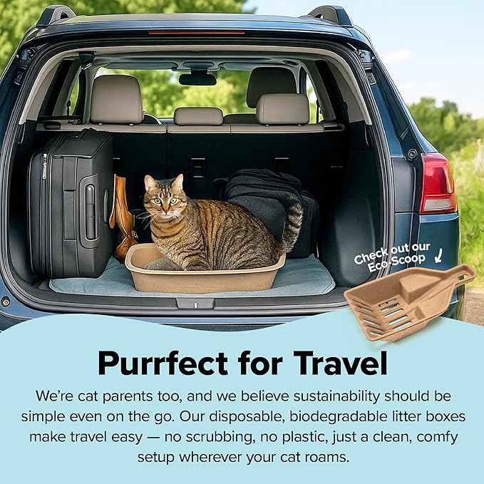 Kitty Sift (Set of 2 Litter Boxes & 1 Sifting Liner) Disposable Sifting Cat Litter Box Jumbo, 3 Count, Durable and Portable for Travel with Odor Control