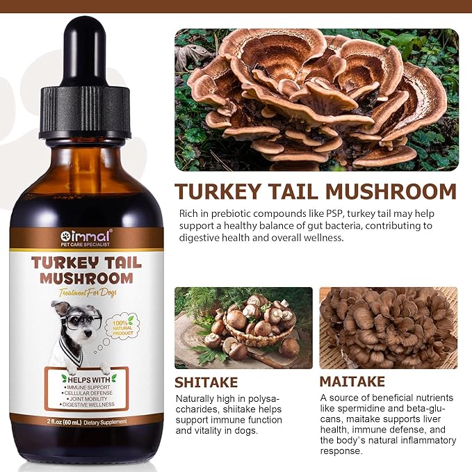 Immune Mushroom Drops for Dogs, Natural Dog Mushroom Liquid Drop with Turkey Tail Mushroom Extract Support Immune Booster, Digestive & Joint Mobility, Liquid Mushroom Supplement - 2 fl oz / 60ml