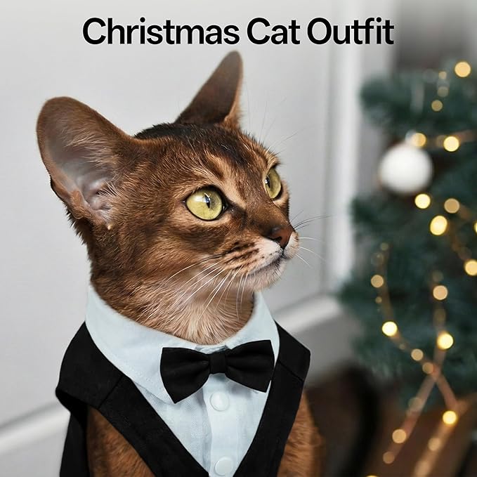 PUMYPOREITY Cat Tuxedo Suit Formal Wear with Bow Tie, Soft Skin-Friendly Cat Costumes for Cats Only, Elegant Outfit for Male Female Cats, Perfect for Wedding Birthday Photo Shoots, S, Black