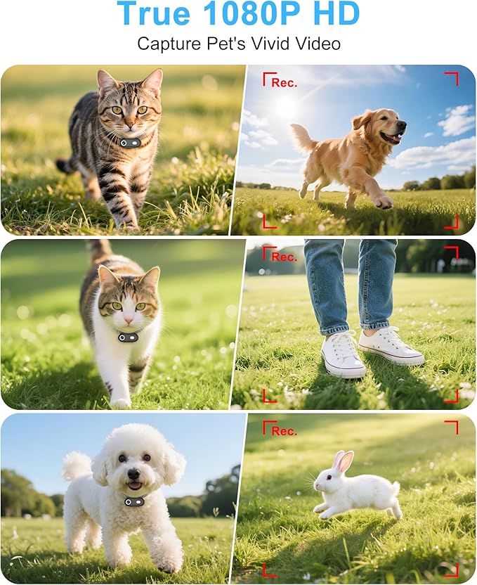 Cat Camera Collar with Phone APP, 1080P HD Video Recording Pet Camera Collar – Cordless Lightweight Rechargeable Pet POV Cam for Curious Cats & Adventurous Pups-XS-Size Cat Action Cameras