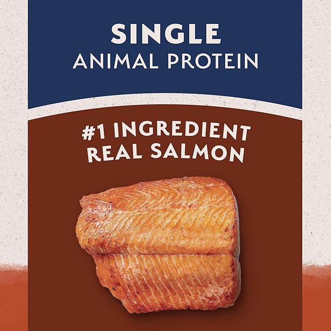 Natural Balance Limited Ingredient Grain Free Salmon & Sweet Potato Dry Dog Food, Sensitive Stomach, 4 lb (Pack of 1)