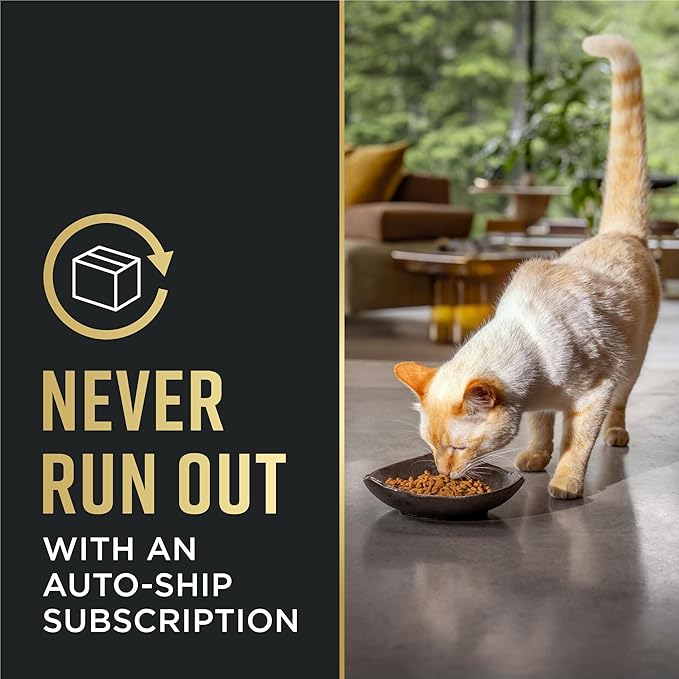 Purina Pro Plan LiveClear Cat Allergen Reducing Adult Dry Cat Food With Salmon and Rice