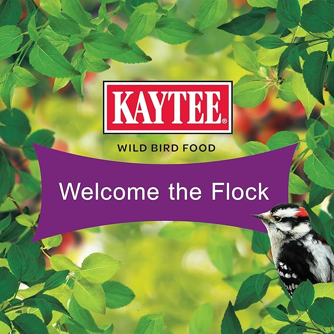 Kaytee Wild Bird Nut & Fruit Seed Cake for Cardinals, Nuthatches, Juncos, Woodpeckers, Grosbeaks and More Songbirds, 1.85 Pounds, Pack of 4