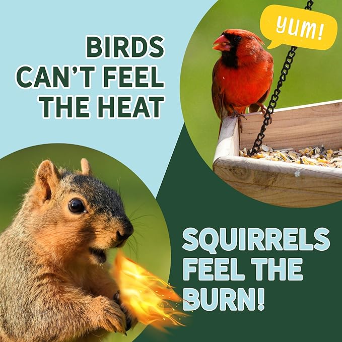 Spicy Hot Pepper Squirrel Deterrent (16 fl Oz) – All-Natural, Food-Grade Hot Pepper Bird Seed Coating, Repels Squirrels, Safe for Birds, Made in USA