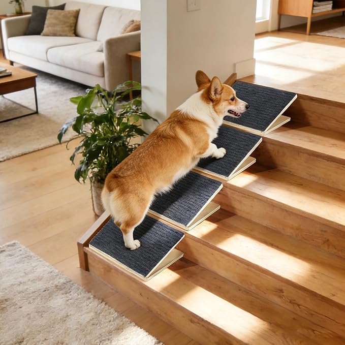 Pet Stair Ramp for Small Dogs, 4 Pack Foldable Wooden Dog Steps for Stairs, Anti-Slip Low-Angle Support for Senior, Short-Legged & Injured Pets