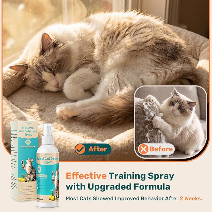 Natural Cat Deterrent Spray Indoor, Cat Repellent Spray for Furniture, Safely Cat Pee Stopper, Anti Furniture Scratching, Stops Urine Marking, Kitten Training Spray for Sofa, Rugs, Chairs, 200ml