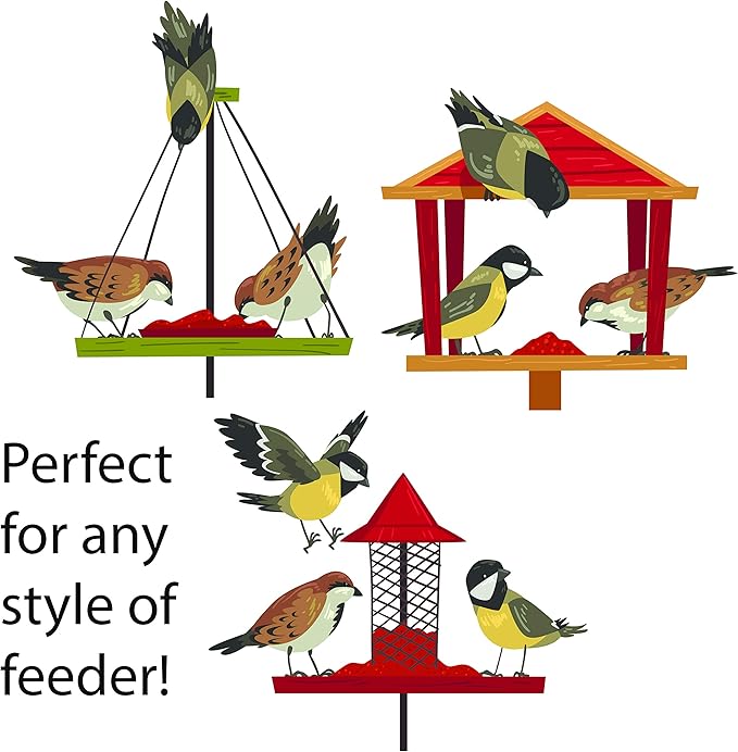 | Four Seasons | Nyjer Seed | Wild Bird Food | Backyard Songbird | 2 Pounds