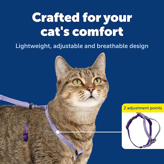 PetSafe Come With Me Kitty Cat Harness & Bungee Leash - Comfortable Cat Harness with Lightweight Bungee Leash for Outdoor Fun - More Secure Walks - Medium - Lilac
