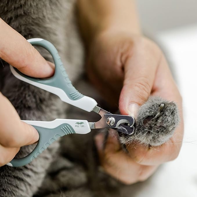 Mr. Pen Cat Nail Trimmer - Cat Nail Clippers - Olive - Stainless Steel Blades - Safe & Easy Nail Trimming for Cats of