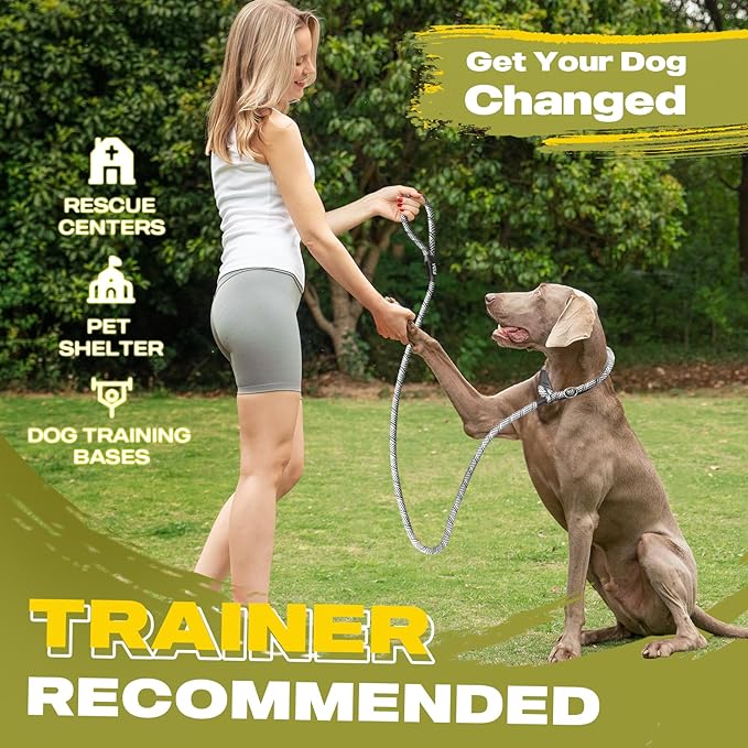 Fida Durable Slip Lead Dog Leash Bulk Pack of 5, Heavy Duty 1/2" x 6 FT Comfortable Strong Rope Slip Lead for Large, Medium & Small Dogs No Pulling Pet Training Leash with Highly Reflective (Grey)