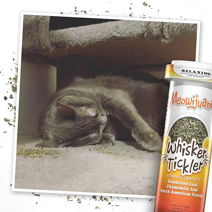 Meowijuana Purr-Effect Trio Pack | Purrple Passion, Whisker Tickler and Paw Natural OG Catnip Blends | Large Bottle High Potency Blends | Premium Hand Harvested North American Catnip