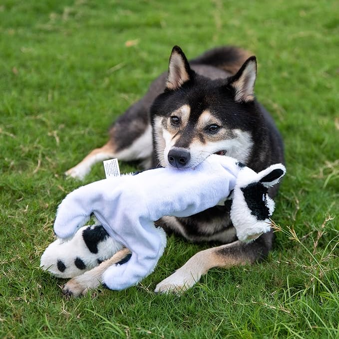 Best Pet Supplies Squeaky Dog Toys with Soft Durable Fabric for Small, Medium and Large Pets Interactive Toy for Indoor Play, Supports Active Biting and Play - Cow, Monkey, Medium
