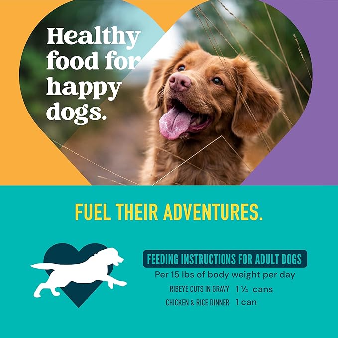 A Strong Heart Wet Dog Food Variety Pack, Ribeye Cuts in Gravy & Chicken and Rice Dinner, Made with Real Beef & Chicken, Made in The USA, 13.2 oz Can (Pack of 12)