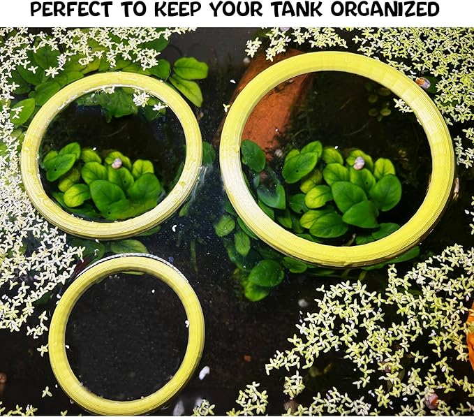 Aquarium Floating Duckweed Organizer. Set of 3 Floating Rings - 3in, 4in and 5 in. Floating Fish Feeding Ring. Aquarium Fish Tank Decor. Aquarium Starter Kit.