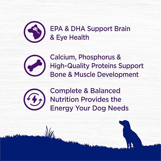 Wellness Complete Health Large Breed Adult Dry Dog Food, Wholesome Grain Kibble, Natural, Chicken, Brown Rice and Salmon Meal Recipe, 30 lb Bag