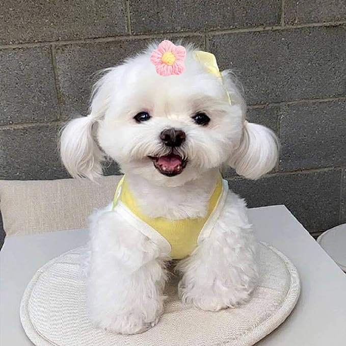 PET SHOW 10Pairs/Pack Flower Dog Hair Bows for Small Medium Dogs Yorkie Girl Boy Flower Bows with Rubber Band Doggies Cat Grooming Hair Accessories for Party Birthday