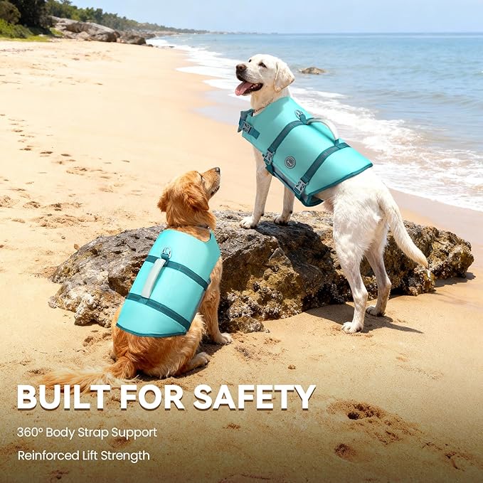 VIVAGLORY Rip Stop Dog Life Vest, Swimming Vest with Handle, Buoyancy for Doggy Puppy, Dog Life Jacket for Swimming & Boating, M, Cyan