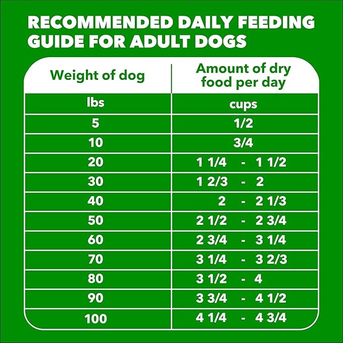 IAMS Proactive Health Adult Minichunks Dry Dog Food Beef & Rice Recipe, 5 lb. Bag