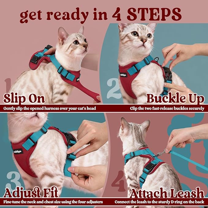 rabbitgoo Cat Harness and Leash for Walking, Escape Proof Soft Adjustable Vest Harnesses for Cats, Easy Control Breathable Reflective Strips Jacket, Red & Teal, XXS