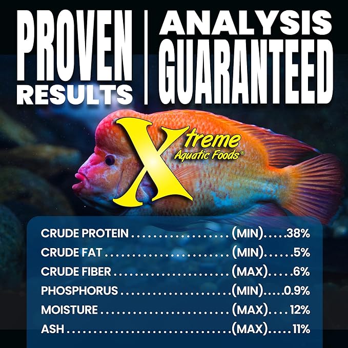 Xtreme Big Fella 3.0mm Pellets: Professional Nutrition for Medium to Large Cichlid/Community Fish - Boost Immune & Digestive Health, Color & Energy, Max Protein Fish Food – USA Farm Grown (2.5oz)