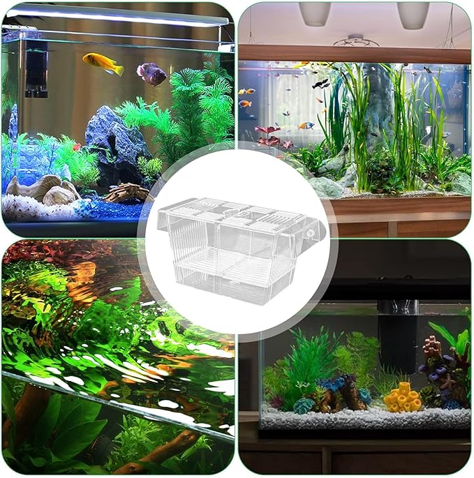 1/2 Fish Acclimation Box - Acrylic Hatchery Incubator Tank, Fish Breeder Box with 2 Suction Cups | Easily Install Breeding Isolation Box, Floating Breeding Box for Baby Fishes Shrimp Betta Guppy