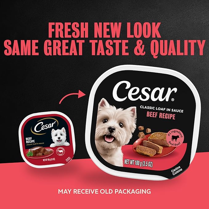 Cesar Classic Loaf in Sauce Adult Wet Dog Food Beef Recipe, 3.5 oz. Easy Peel Trays, 24 Count (Pack of 1)
