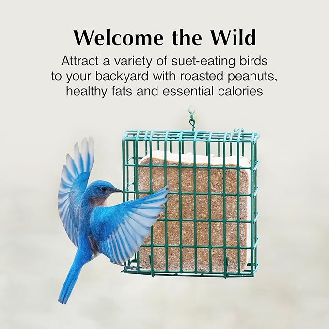 C&S Woodpecker Delight No Melt Suet Dough, Suet Cakes for Wild Birds, 11.75 Ounces, Pack of 8