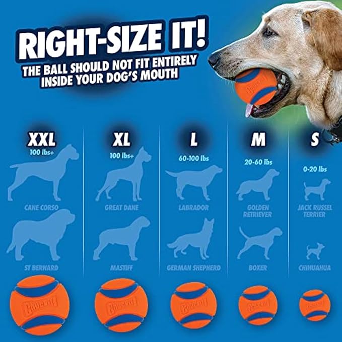 Chuckit! Ultra Ball Dog Toy with Chuckit! Cleaning Bucket, Bouncy Fetch Pet Toys For Dogs 20-60 lbs, Interactive Dog Toys, Durable Rubber, Size Medium, 2.5-inch Diameter, 8-Pack of Balls