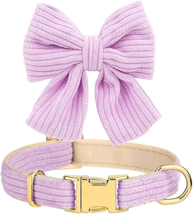 Didog Cute Small Dog Harness Collar and Leash Set with Bowtie, Breathable Soft Mesh Padded Puppy Harness, Dog Harness for Small Dogs Daily Walks Parties, Holiday Gatherings & Gifts, Purple, M