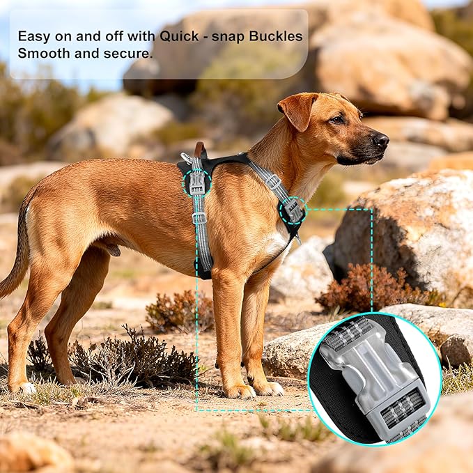 No Pull Dog Harness – Adjustable Reflective Nylon Vest for Small Medium Large Dogs, Escape Proof Training Harness with Leather Control Handle, Lightweight Aluminum Hardware (Black, XL)