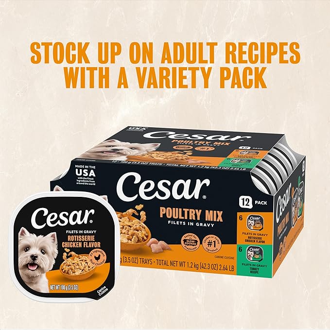 Cesar Filets in Gravy Adult Wet Dog Food, Rotisserie Chicken Flavor, 3.5 oz. Easy Peel Dog Food Tray, 24 Count (Pack of 1)