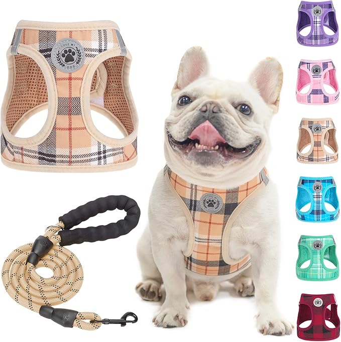BEAUTYZOO Small Dog Harness and Leash Set,Step in No Choke No Pull Soft Mesh Dog Harnesses Reflective for Extra-Small/Small Medium Puppy Dogs and Cats, Plaid Dog Vest Harness for XS S Pets, Beige XL