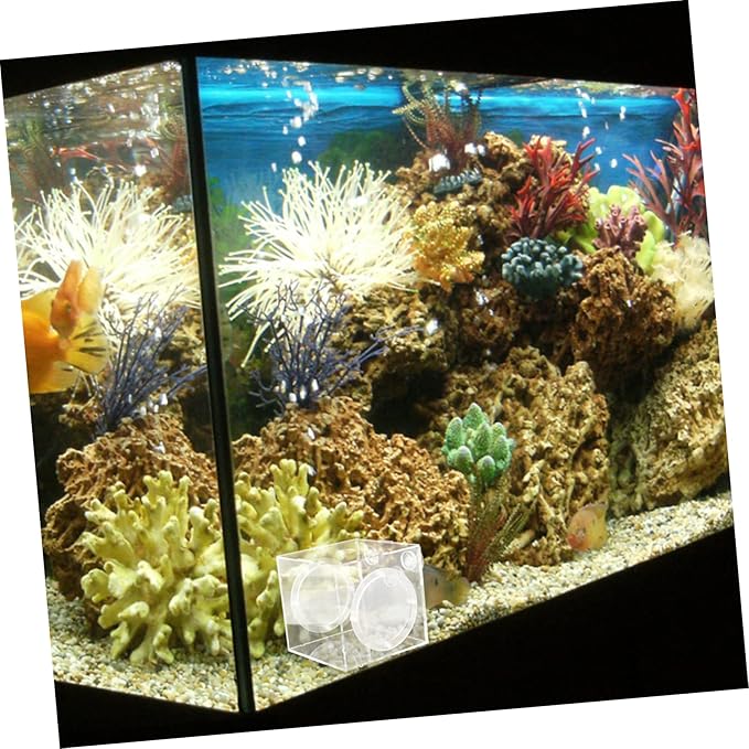 Fish Breeder Isolation Box Transparent Acrylic Hatching Tank for Fish Fry and Breeding Environment for Aquariums