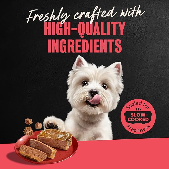 Cesar Classic Loaf in Sauce Adult Wet Dog Food Beef Recipe, 3.5 oz. Easy Peel Trays, 24 Count (Pack of 1)