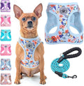 BEAUTYZOO Step in Dog Harness and Leash Set, Floral Pattern Reflective Dog Harness No Pull No Choke Puppy Harness for XXS XS S Dogs Cats, Soft Padded Mesh Vest Harnesses for Girl and Boy Pets