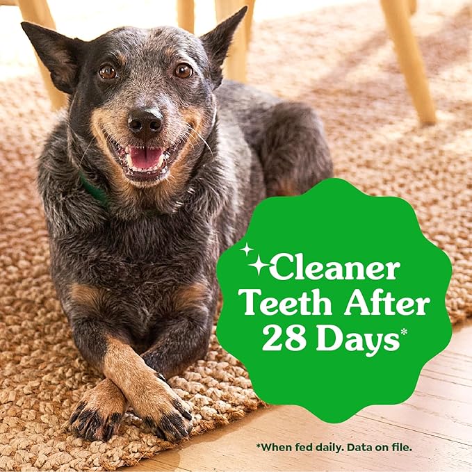 Greenies Veterinarian-Recommended Adult Natural Dental Dog Treats Large Size, Dog Dental Chews, Original Flavor, 27 oz. Pack, 17 Count