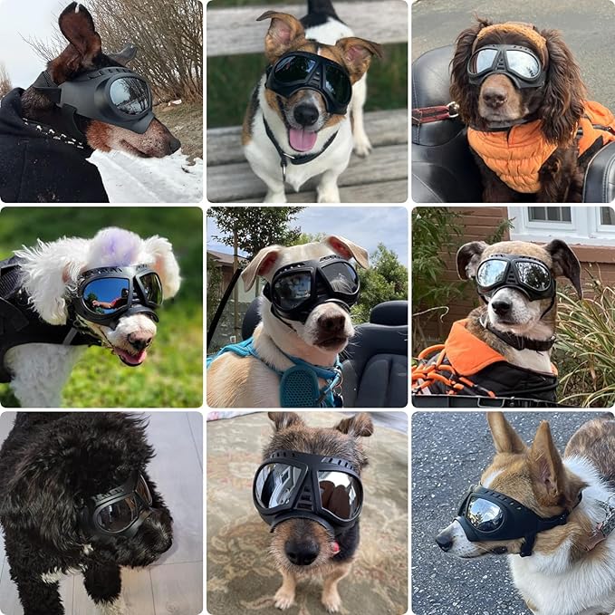 PETLESO Dog Goggles for Small to Medium Breeds, Small Dog Sunglasses UV Protection Windproof Snowproof, Outdoor Driving/Riding/Hiking Eyes Wear, Soft Frame Adjustable Straps, Silver Lens