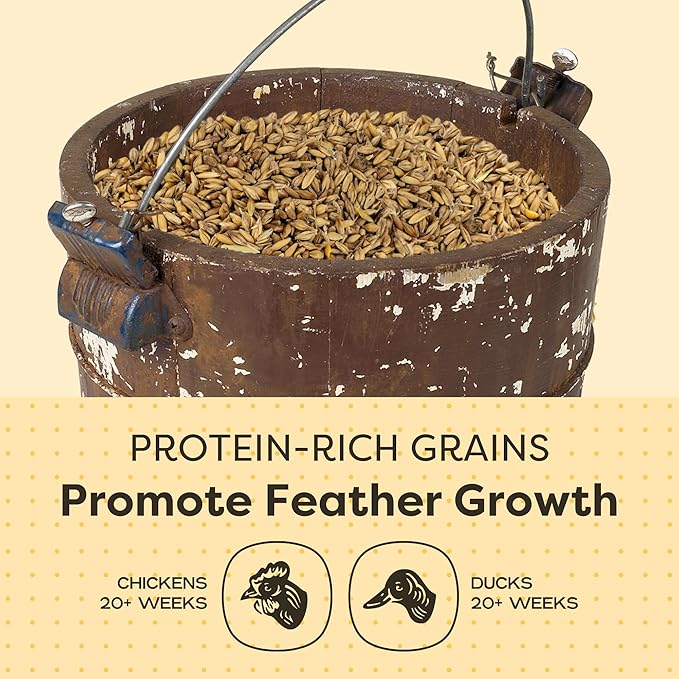 Scratch and Peck Feeds 3 Grain Scratch Chicken and Duck Supplemental Grain - Corn-Free and Soy-Free - 9.8% Protein, Certified Organic and Non-GMO Project Verified Chicken Food - 50 lbs Bag