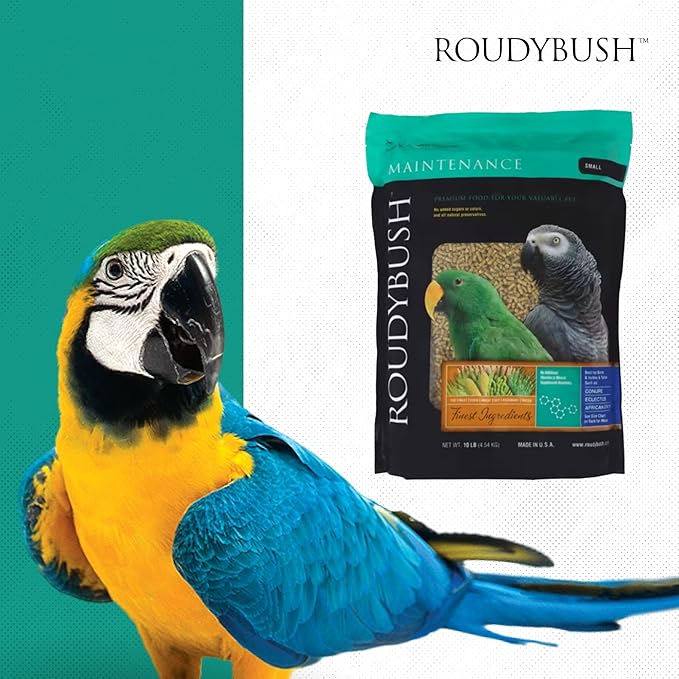 Roudybush Daily Maintenance Bird Food, Small, 10-Pound