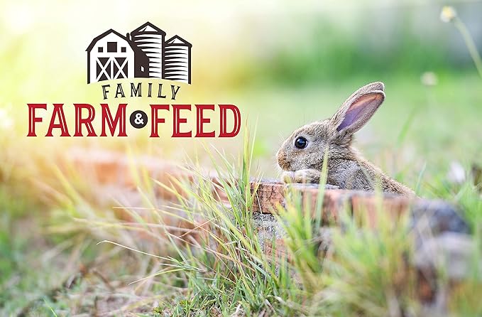 | Four Seasons | Critter Mix | Wild Bird Food | Backyard Songbird | 4 Pounds