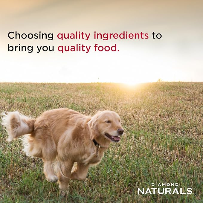 Diamond Naturals Extreme Athlete High Protein Real Meat Recipe Dry Dog Food 40 Pound (Pack of 1)